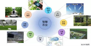 互聯(lián)網(wǎng)+農(nóng)業(yè) 中國(guó)農(nóng)業(yè)電商的春天真的來(lái)了